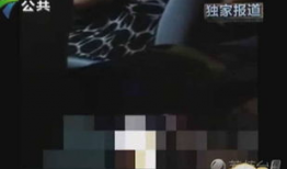 黄色视频免费观看,揭秘黄色视频免费观看的秘密世界